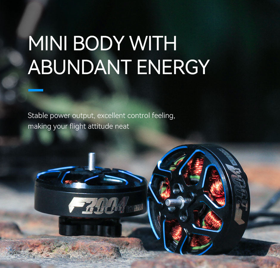 T-MOTORHOBBY F2004 3000 KV