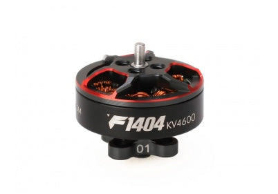 T-MOTORHOBBY F1404 2900 KV