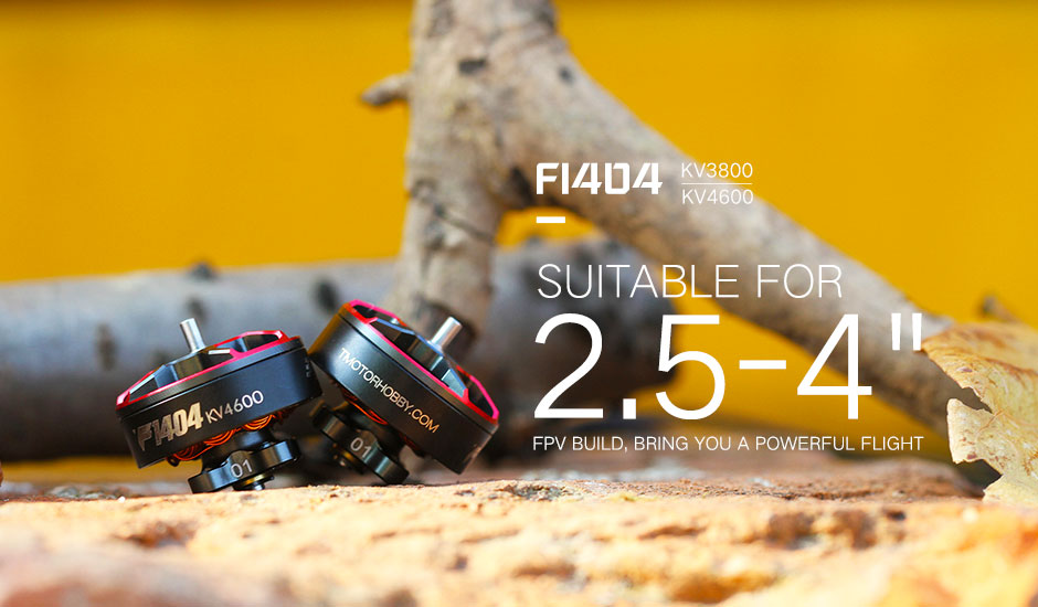 T-MOTORHOBBY F1404 4600 KV