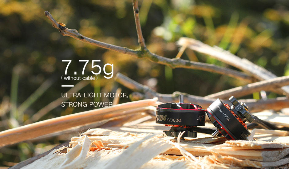 T-MOTORHOBBY F1404 4600 KV
